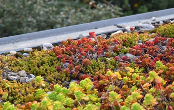 the cost of Freckleton green roof installation