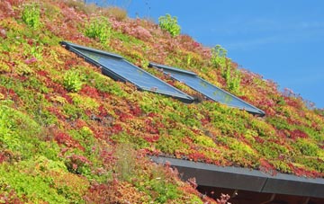 Freckleton living roof systems