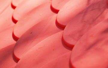 Freckleton plastic roof costs