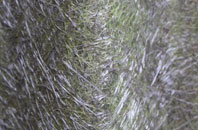 Freckleton fibreglass roof work